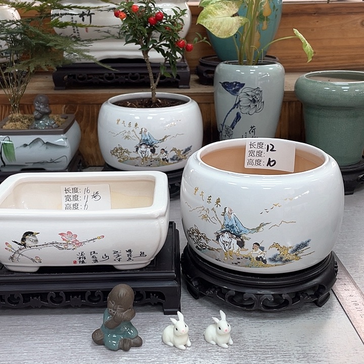 陶瓷花盆紫砂花盆福利抢购