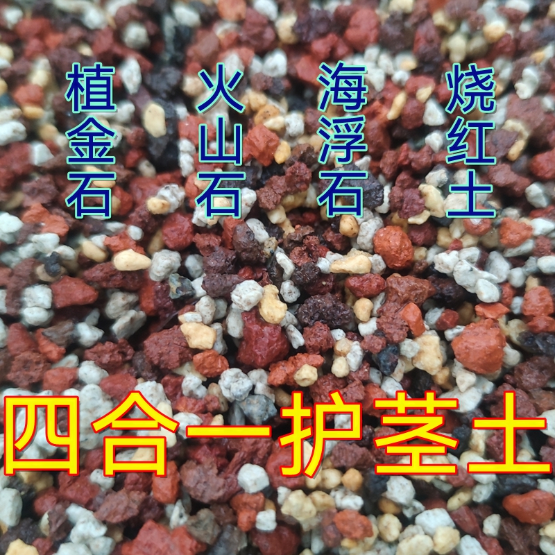 兰花铺面石护茎土疏松透气保湿美观