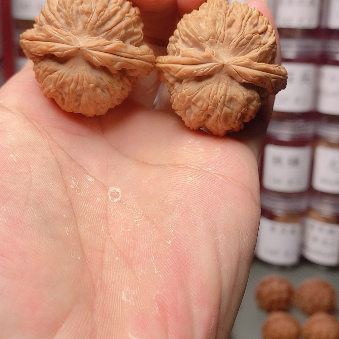 40尺全品精对白狮子