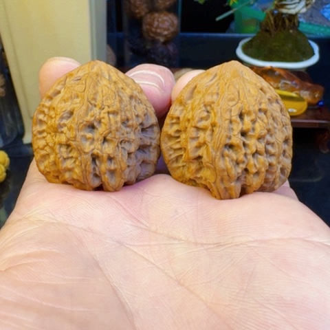 文玩核桃吊坠涞水虎头王