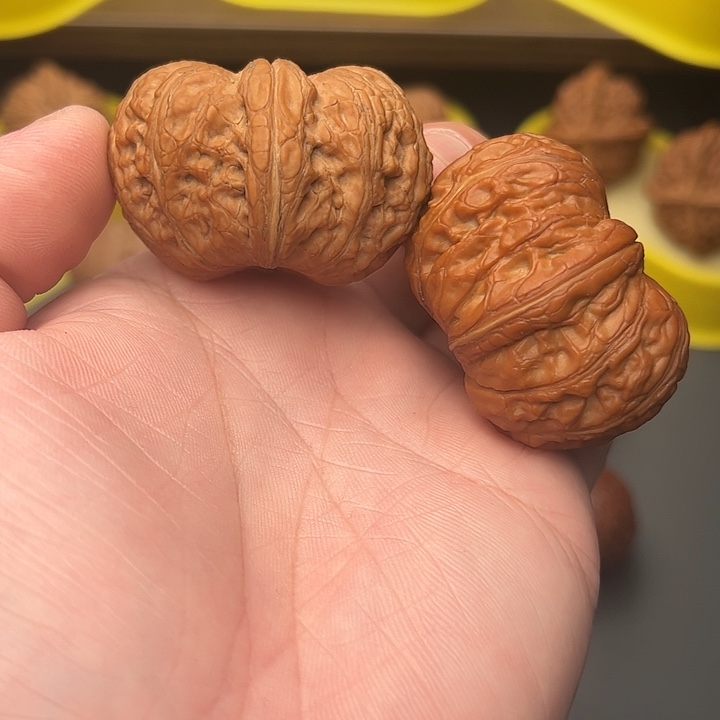 47.5尺精配矮桩收藏级元宝