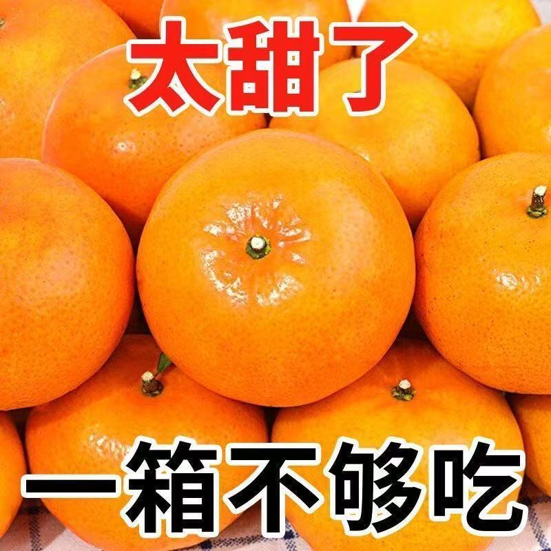 广西武鸣沃柑当季水果新鲜现摘爆甜多汁产地直发