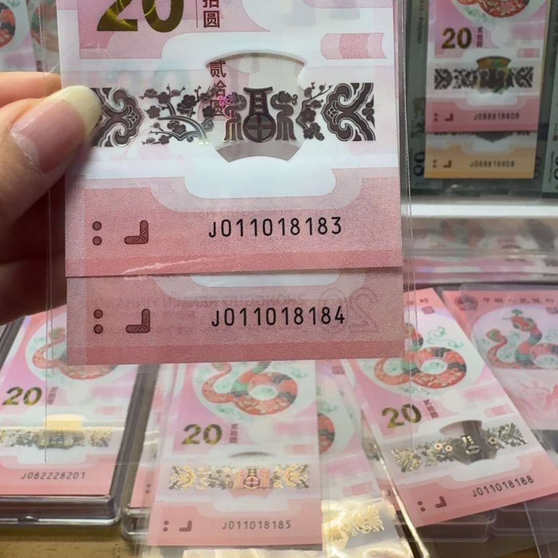 塑料蛇钞J011018183.84不支持七天无理由