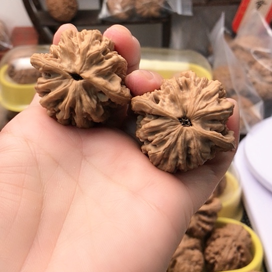 文玩核桃吊坠自**龙山地虎