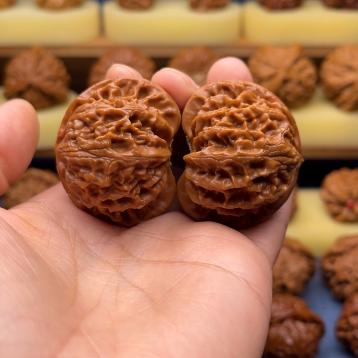 42➕宫灯狮子头手工打底