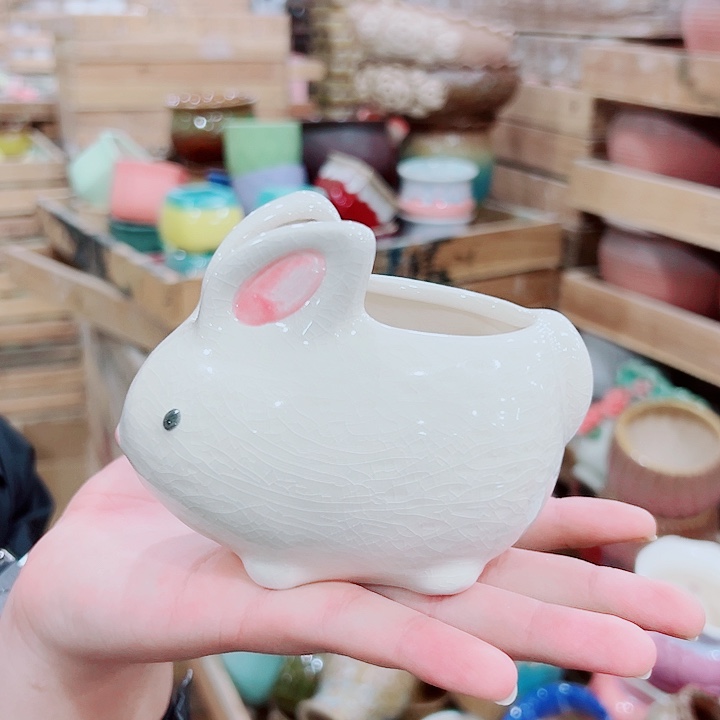 花盆有孔！订单凑满10米包由！