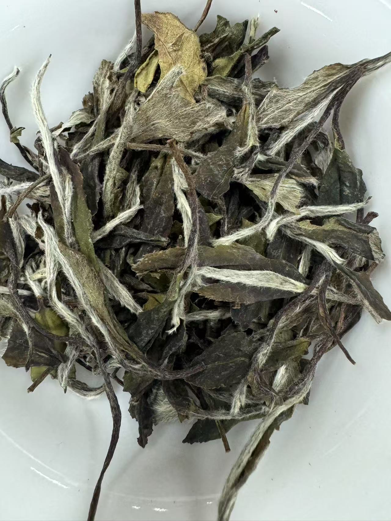 【江缘】 福鼎白茶，龙鳞·2012·白牡丹·洋墩山·百年老树碳焙