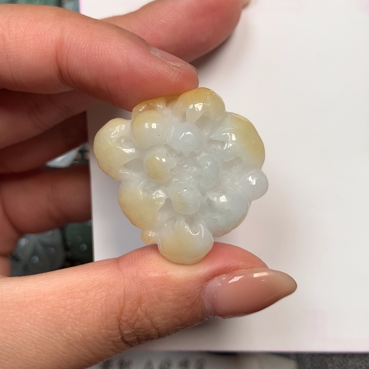 翡翠未镶嵌颈饰千丝菊30-9