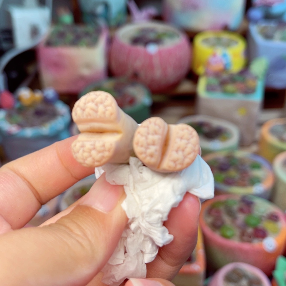 996。88888888888888888