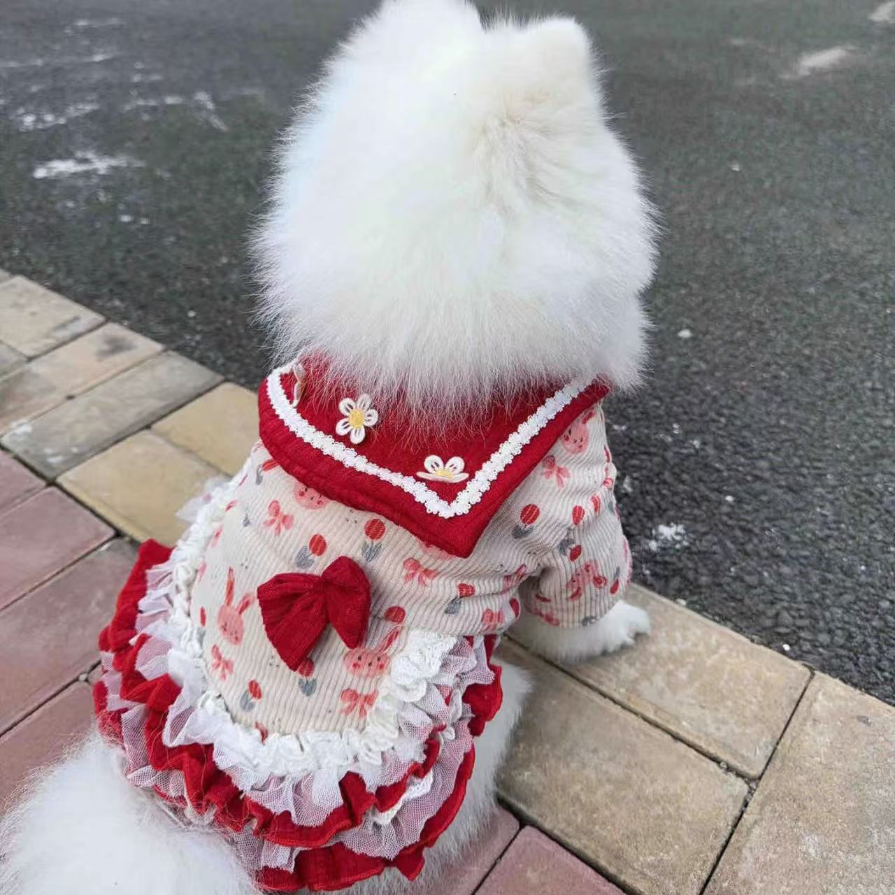 宠物狗狗衣服比熊博美泰迪秋冬公主风红色连衣裙蓬蓬裙约克夏幼犬