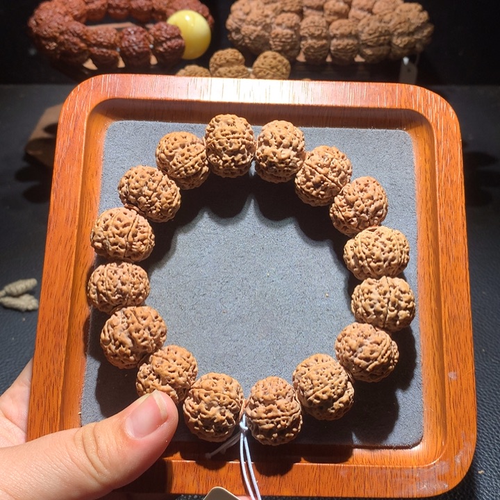 菩提籽类21+七瓣梅花