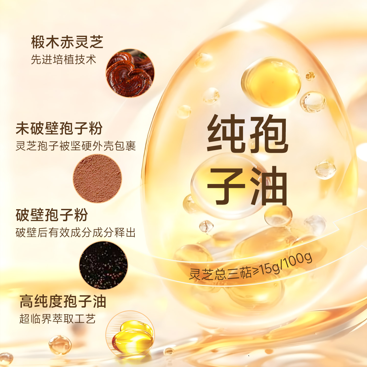 【27年9月到期】小龄炖灵芝孢子油软胶囊30粒/盒