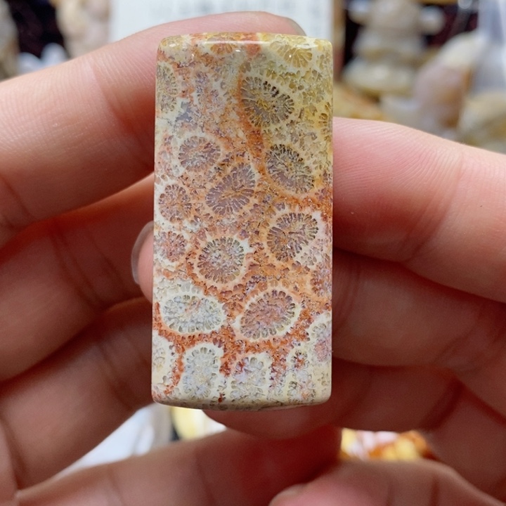 硅化珊瑚（珊瑚玉）颈饰未镶嵌