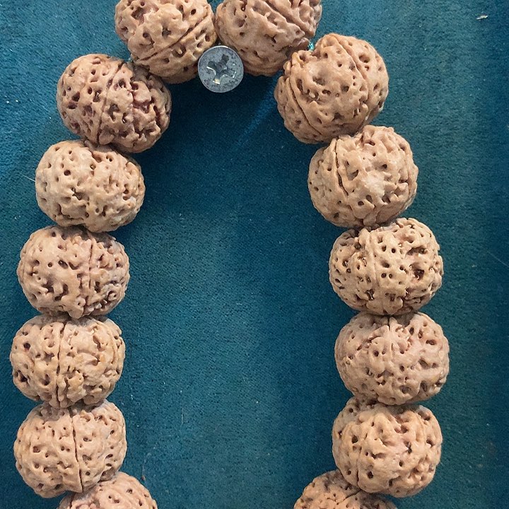 手串金刚菩提舒*梅花