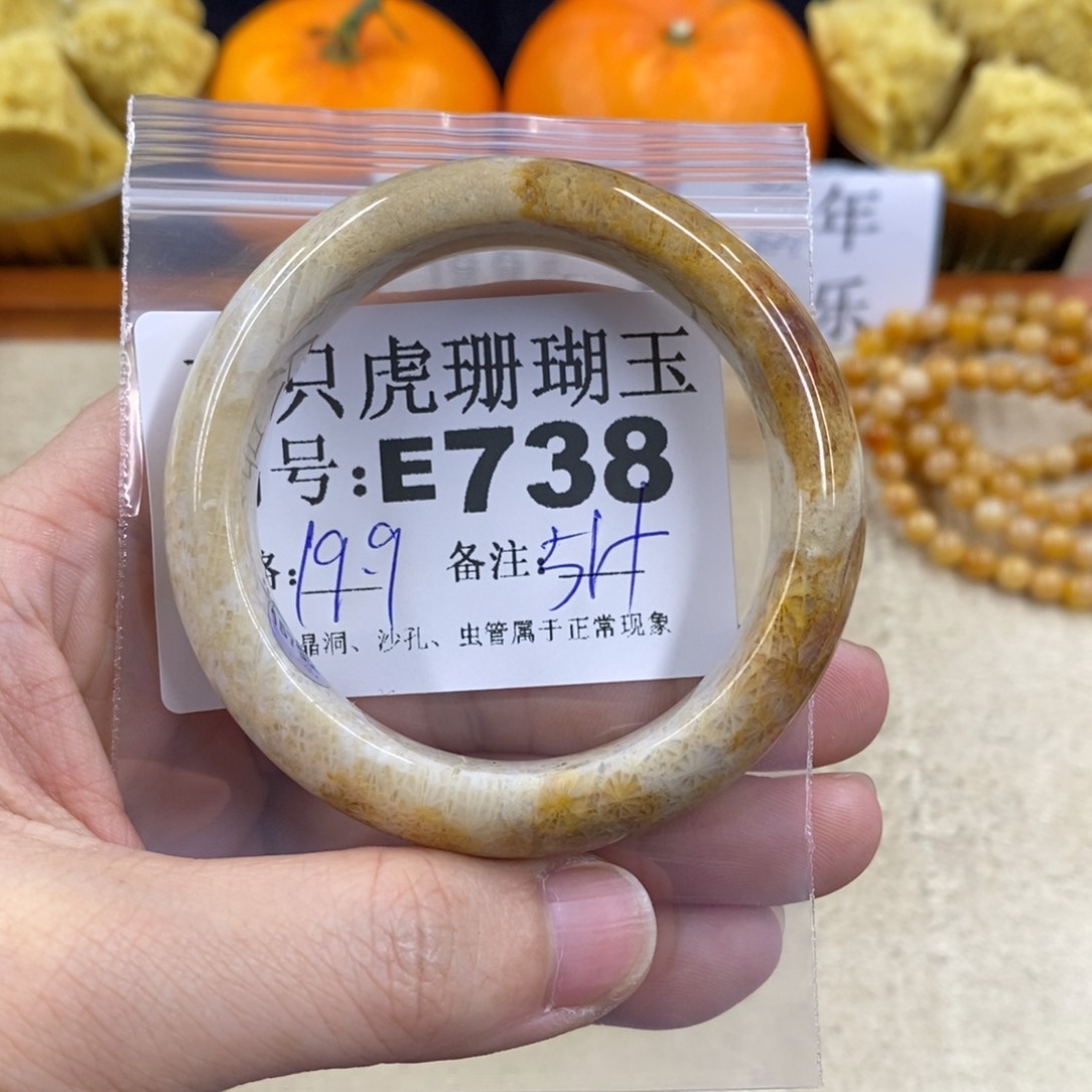 硅化珊瑚（珊瑚玉）1未镶嵌?****