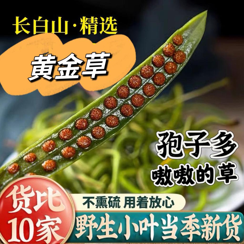 高货  【只卖小叶草】东北产地黄金草石草嗷嗷草手工挑选