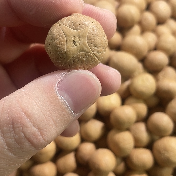 凤眼菩提手串尼泊尔小凤眼