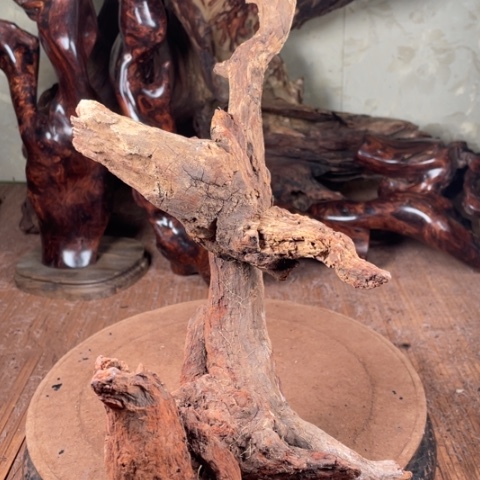 黄花梨/降香黄檀余****大