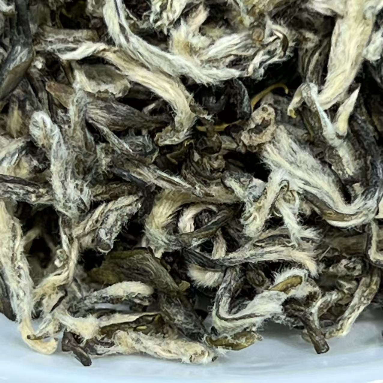 茉莉花茶甘露提花飘雪新茶花香茶香馥郁回甘甜润