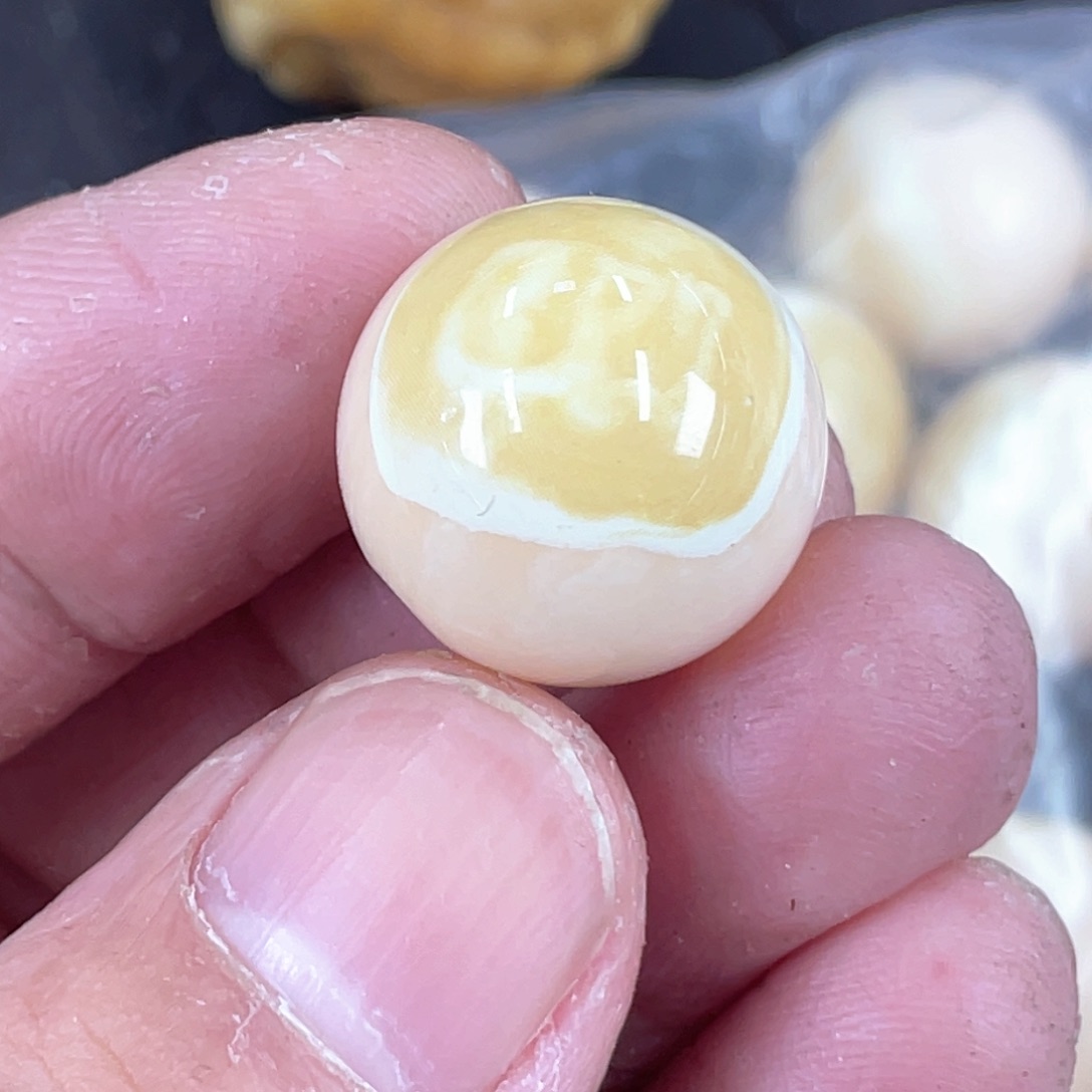 驼骨手串/手链编号44卡1.8