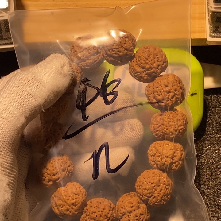 n***吊坠金刚菩提不用我送去就算啊