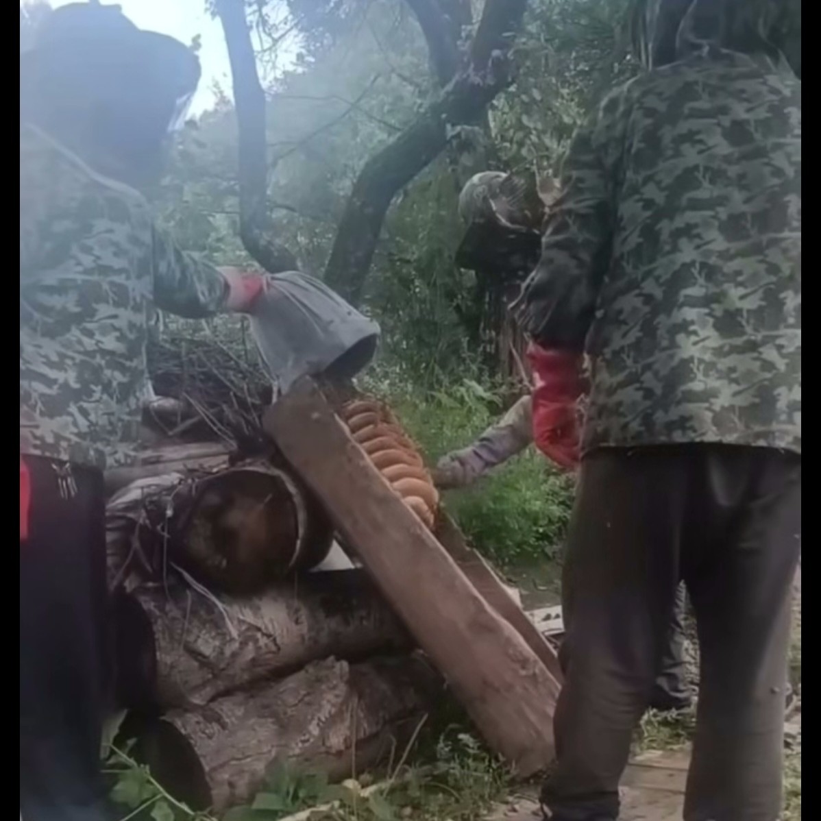 甘肃高海拔农家自产土蜂蜜