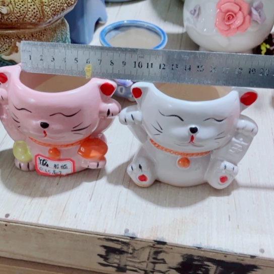 红陶11111111111111111