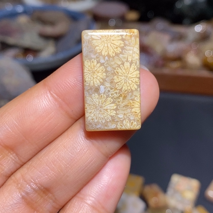 【闪购商品】未镶嵌珊瑚玉硅化玉