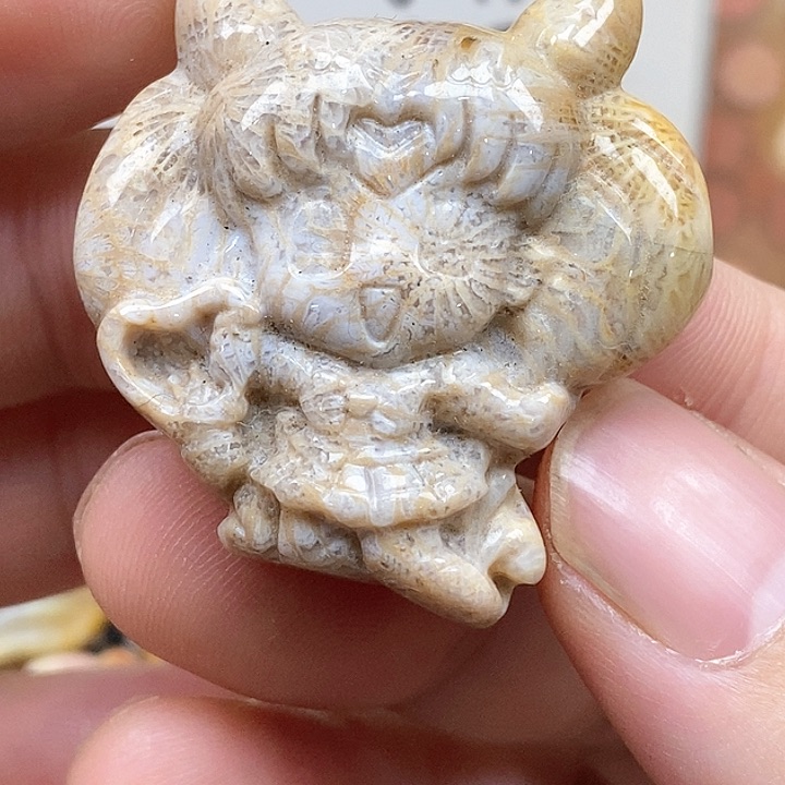 颈饰未镶嵌硅化珊瑚（珊瑚玉）