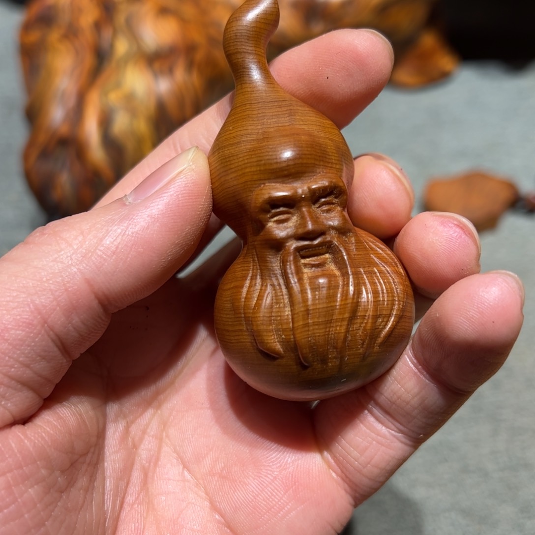 太行崖柏陈化太行