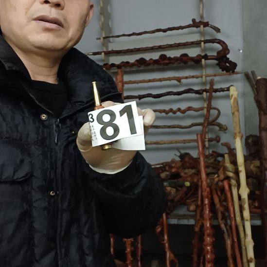 少***艺香榧木高山 檬子木文玩料