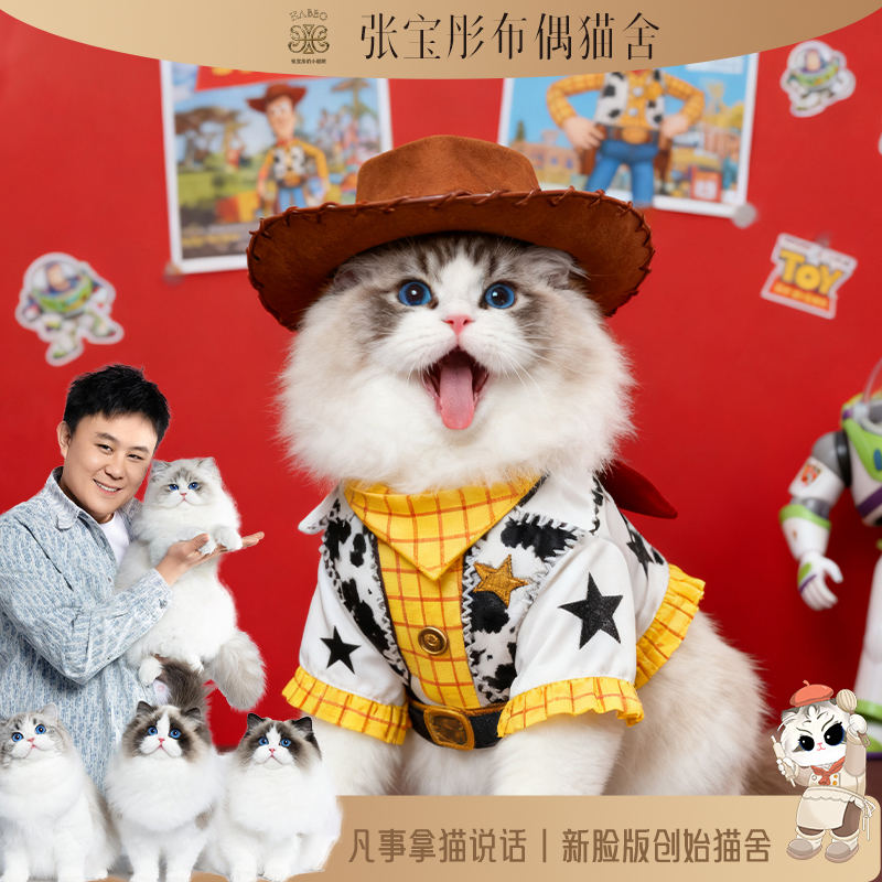 张宝彤布偶猫舍-小脑壳弟弟 | 新脸版创始猫舍