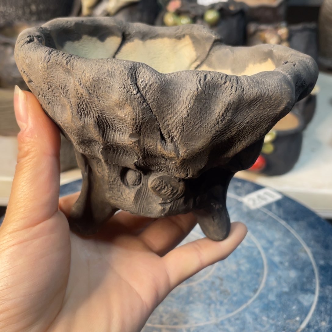 红陶一个人的时候就会