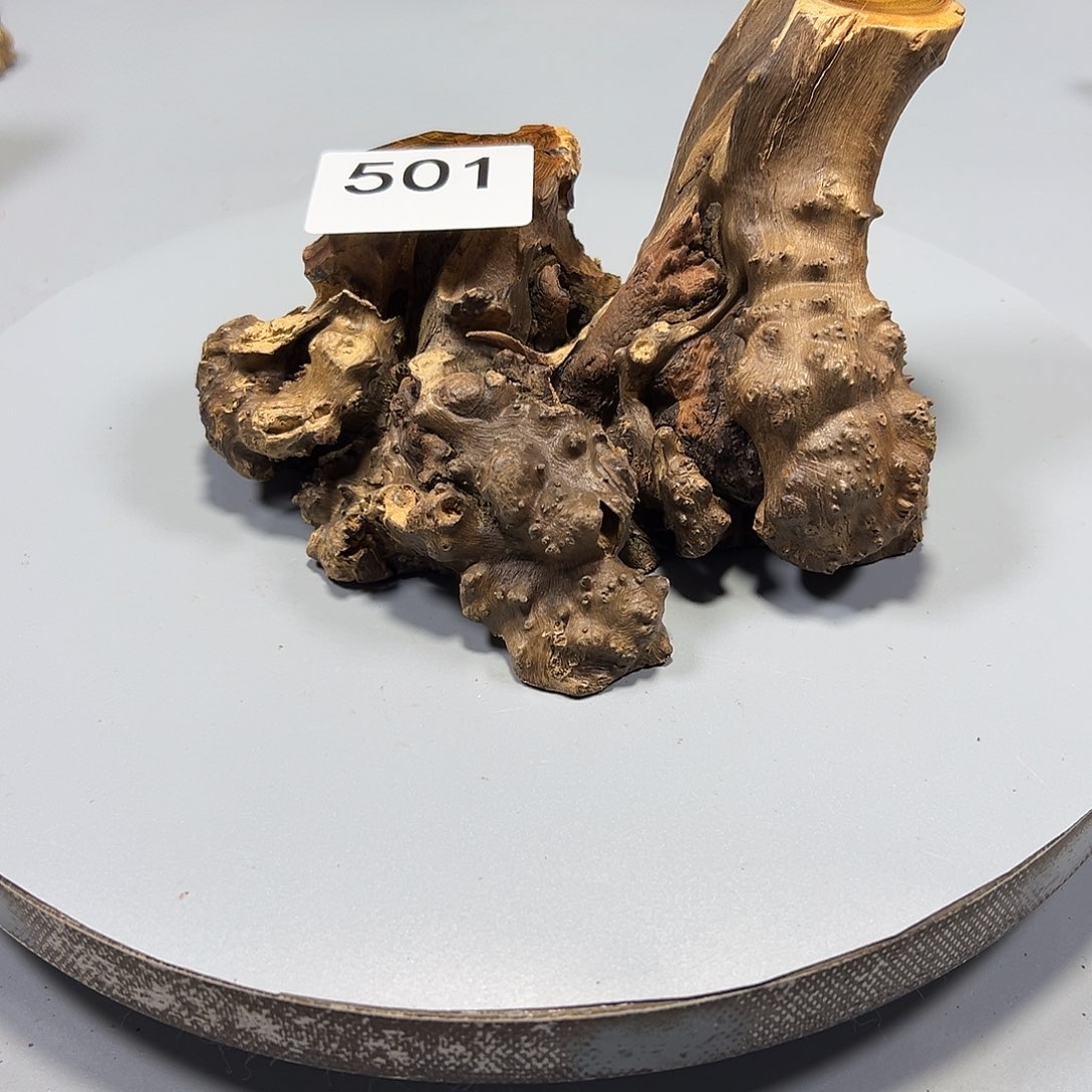 大果紫檀（缅甸花梨）✌****?