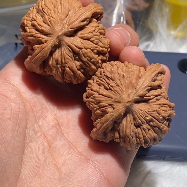 曾***生文玩核桃吊坠精品课程的教学与