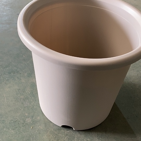 树脂四季8号灰白无托5个特价