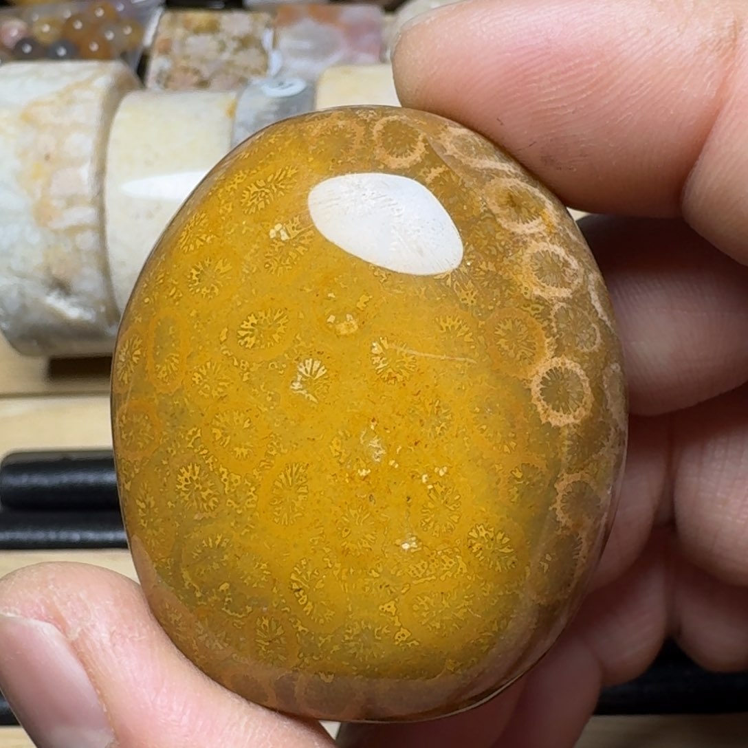 硅化玉纯天然色有机玉石手镯芯未镶嵌