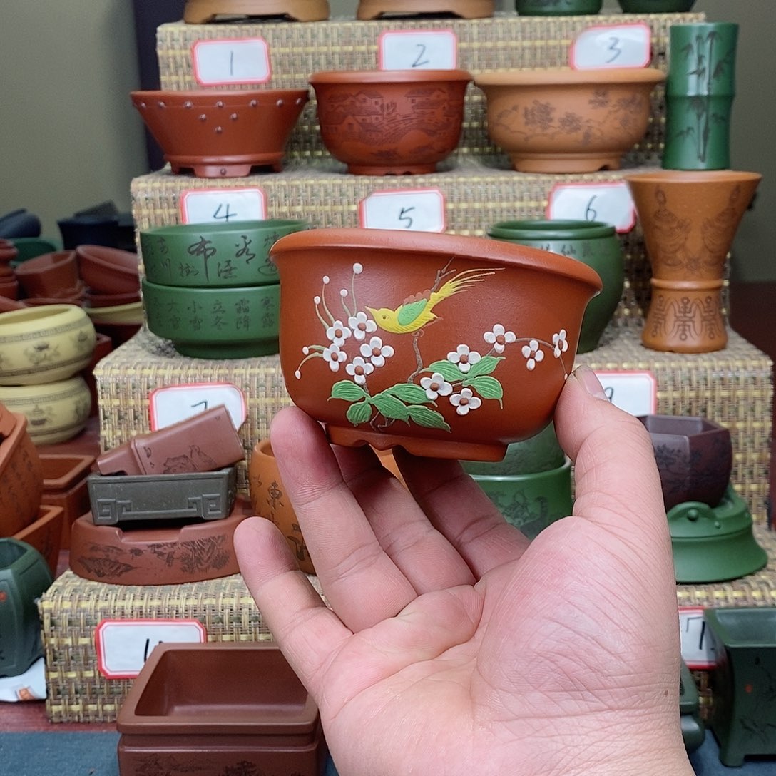 紫砂花盆我在等他