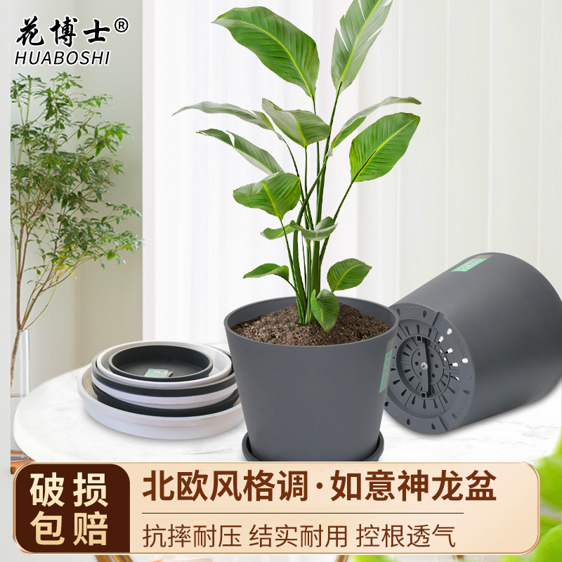 花博士神龙仿水泥圆形控根盆月季绣球金钱树龟背竹树脂塑料大花盆