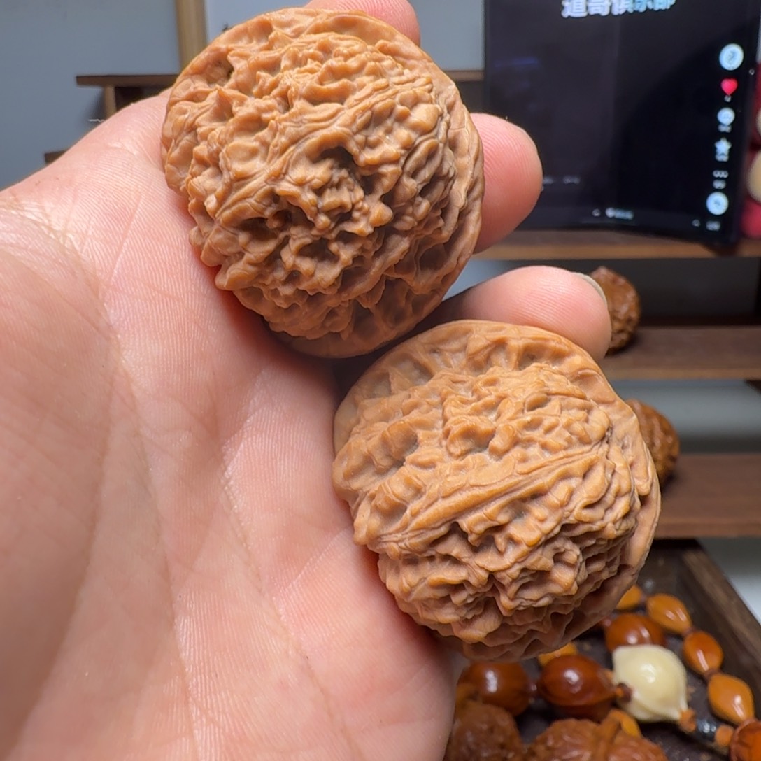 道哥俱乐部t南疆44