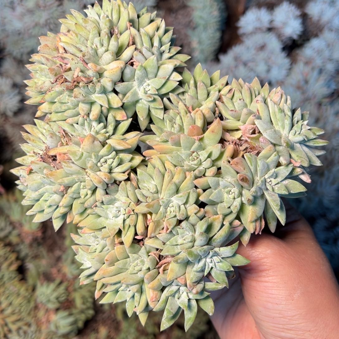 1573哈哈哈哈哈哈哈哈哈