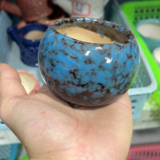 ［所有订单凑满15发］6×5