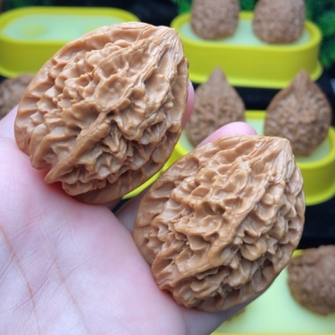 招财鼠42全品111111