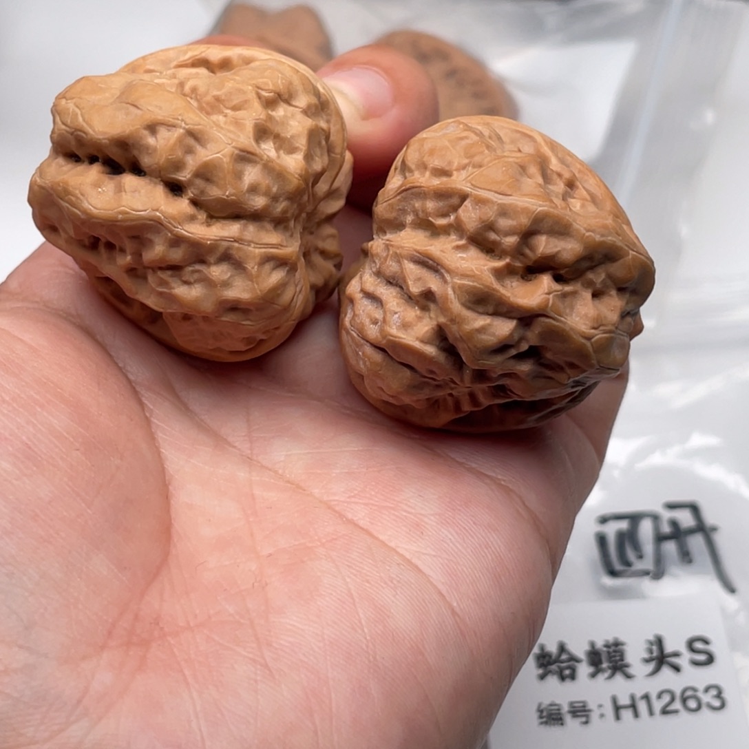 菩提籽类1263蛙蛙蛙蛙