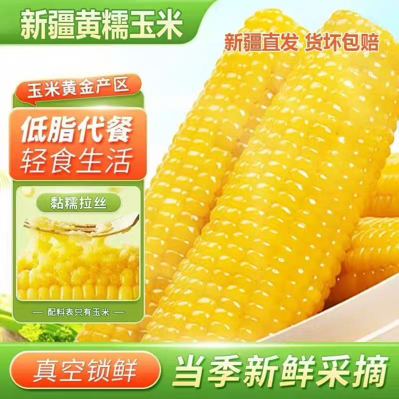 【新人专属】新疆绿色有机黄糯玉米8根*280g真空锁鲜早餐代餐健康