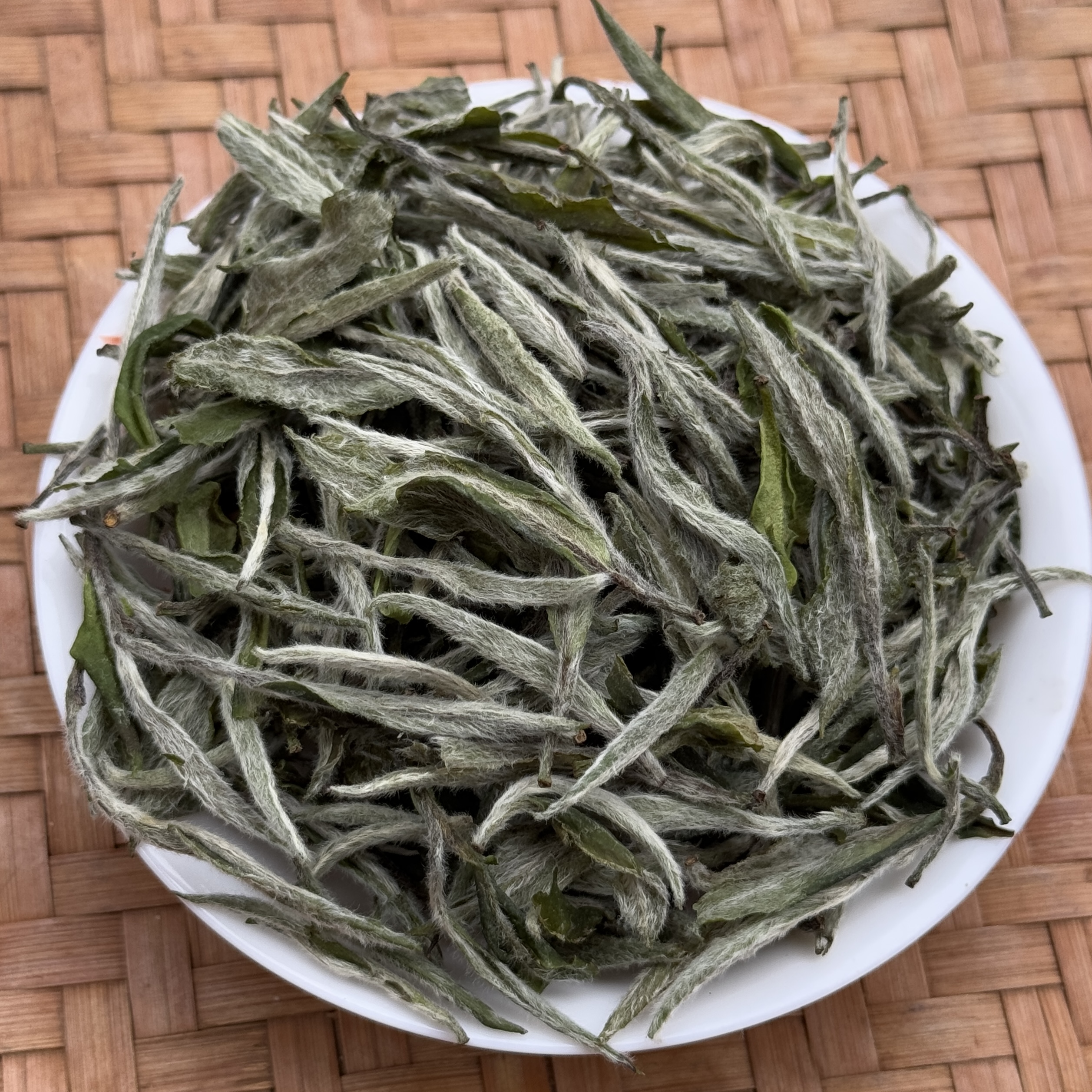 2025白牡丹王 福鼎管阳白茶  冬青收茶