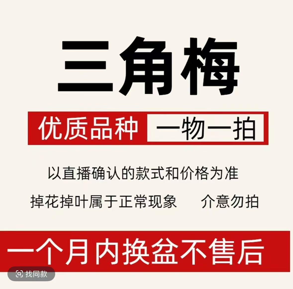 三角梅一物一拍直播间专用链接