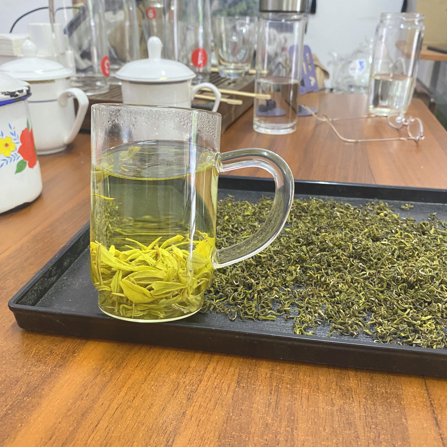 浓香黄金芽2025年新茶安吉原产地老品种自己喝高山茶叶