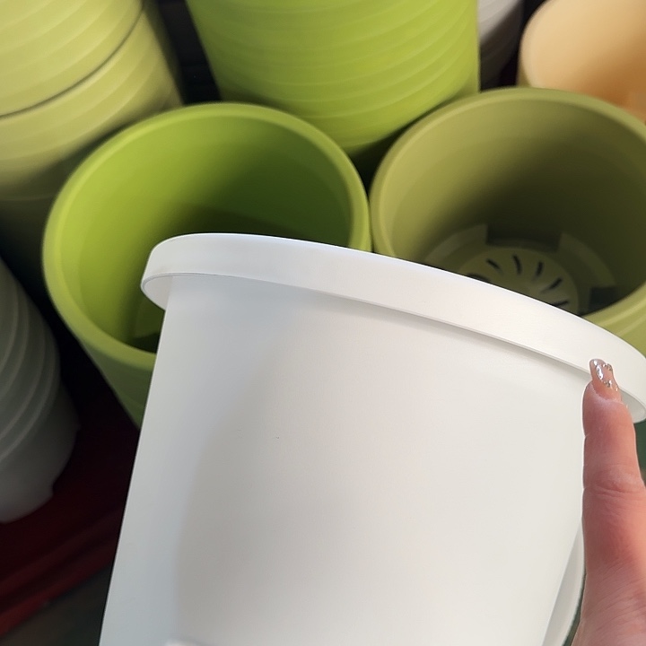 球根盆4号纯白无托5个