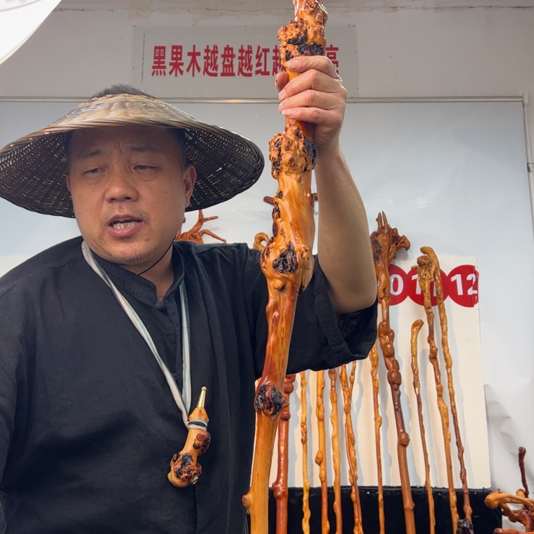 其他黑果木黑果木582